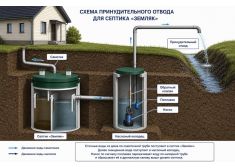 Спарта 800
